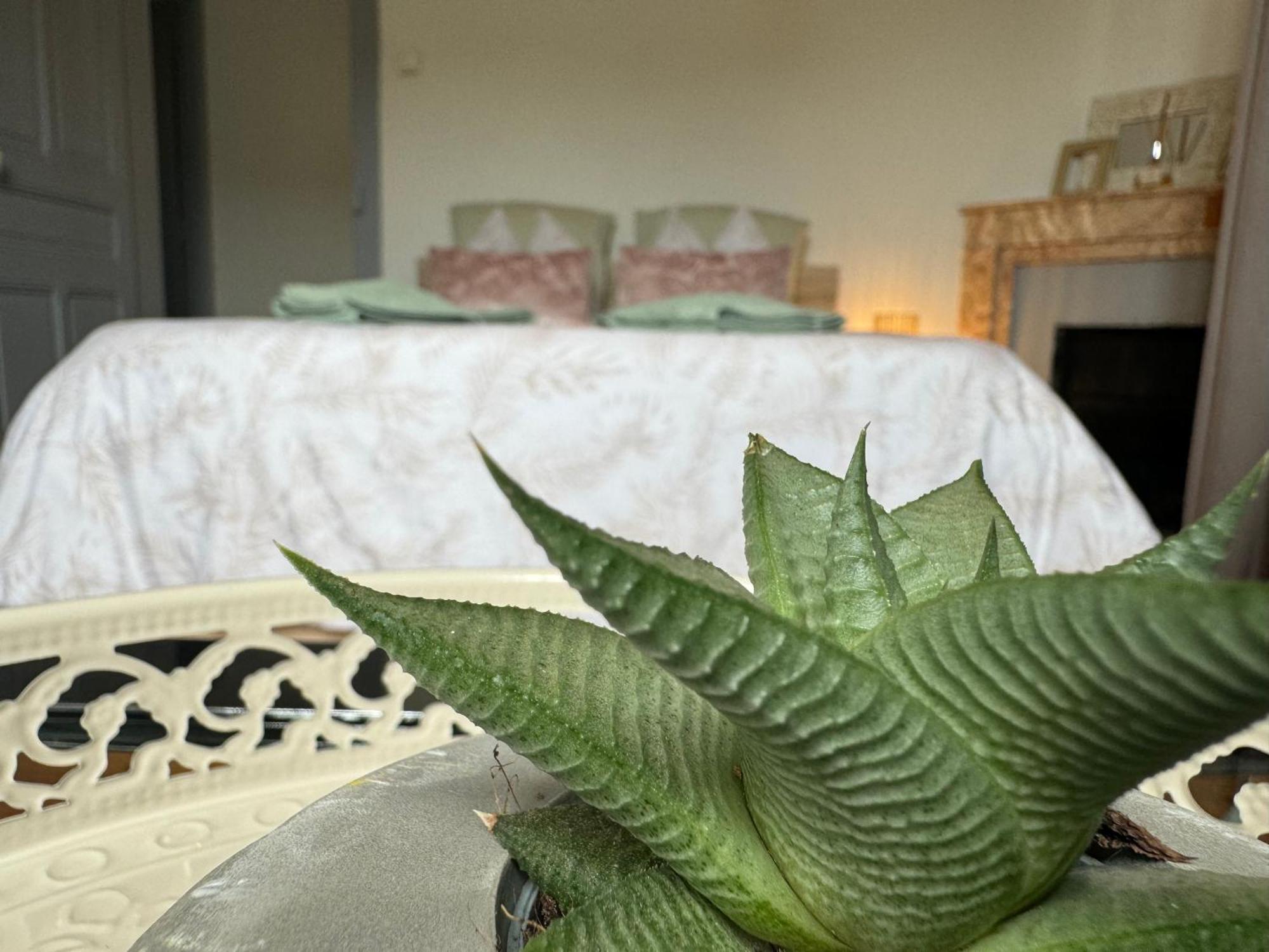 Apartment La Viarhona A Brégnier-Cordon المظهر الخارجي الصورة